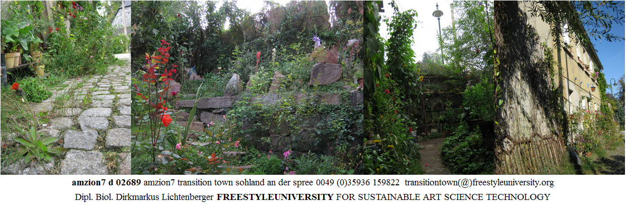 amzion7-d-02689-amzion7-transition-town-sohland-an-der-spree-2013